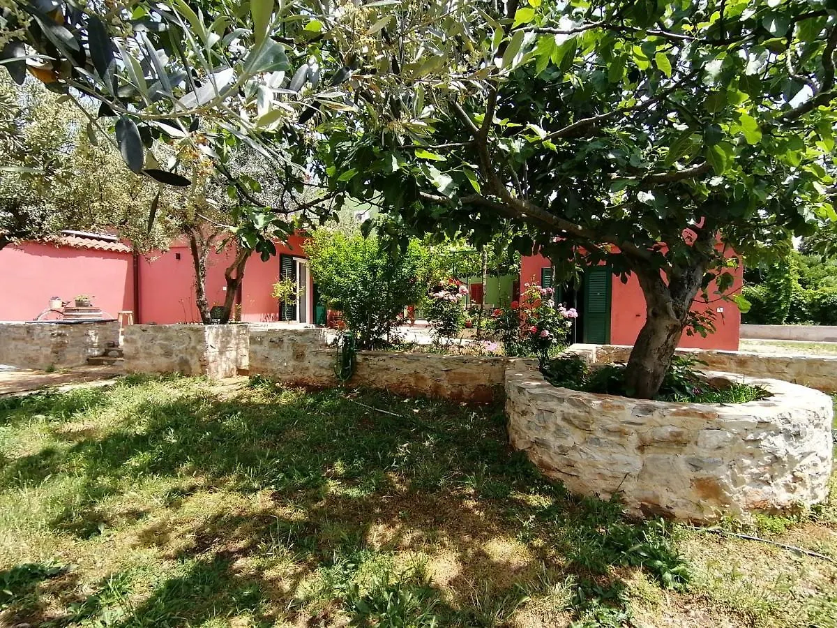 House Bougainvillea Pula 0*,